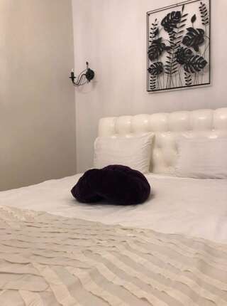 Апартаменты New Old City apartment Вильнюс Апартаменты Делюкс-4