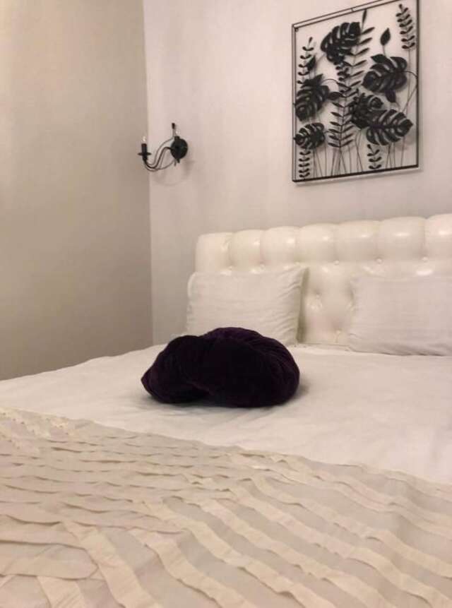 Апартаменты New Old City apartment Вильнюс-20